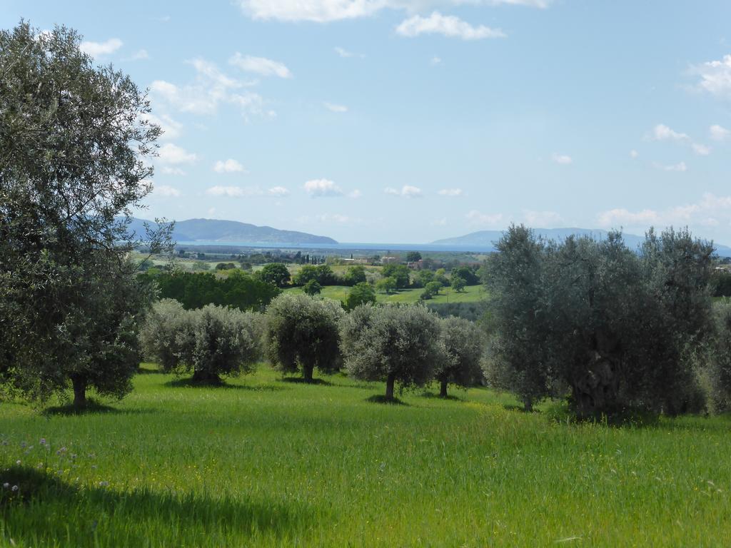 فيلا Campospillo ماليانو إن توسكانا المظهر الخارجي الصورة